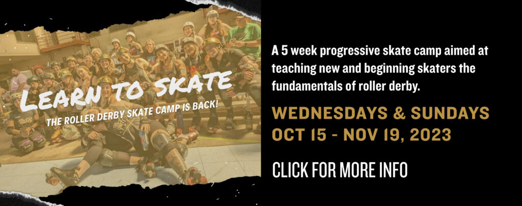 learn to skate banner
